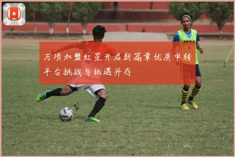 万项加盟红星开启新篇章优质中转平台挑战与机遇并存
